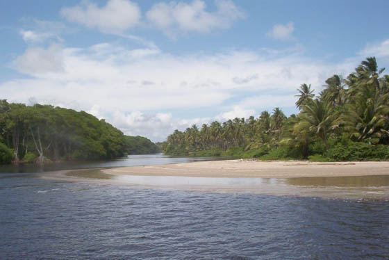 Nariva